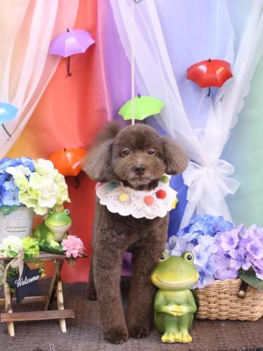 20230604杏ちゃん